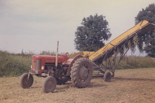 Green Crop Loader