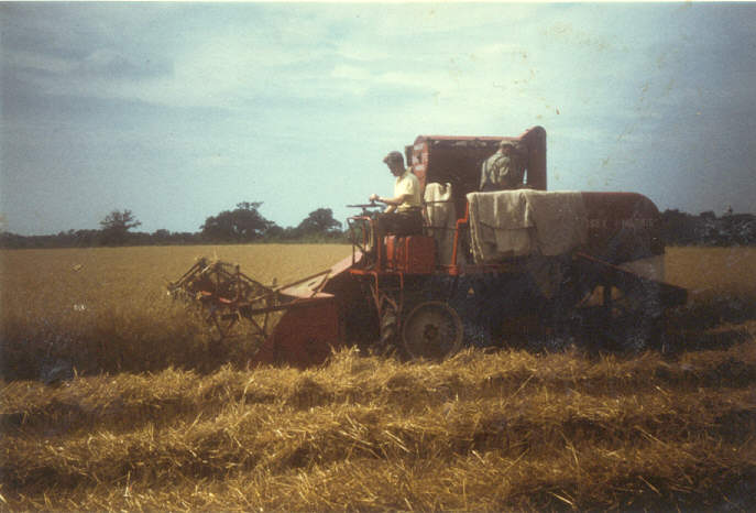 MF726