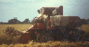 MF726