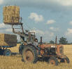 Nuffields